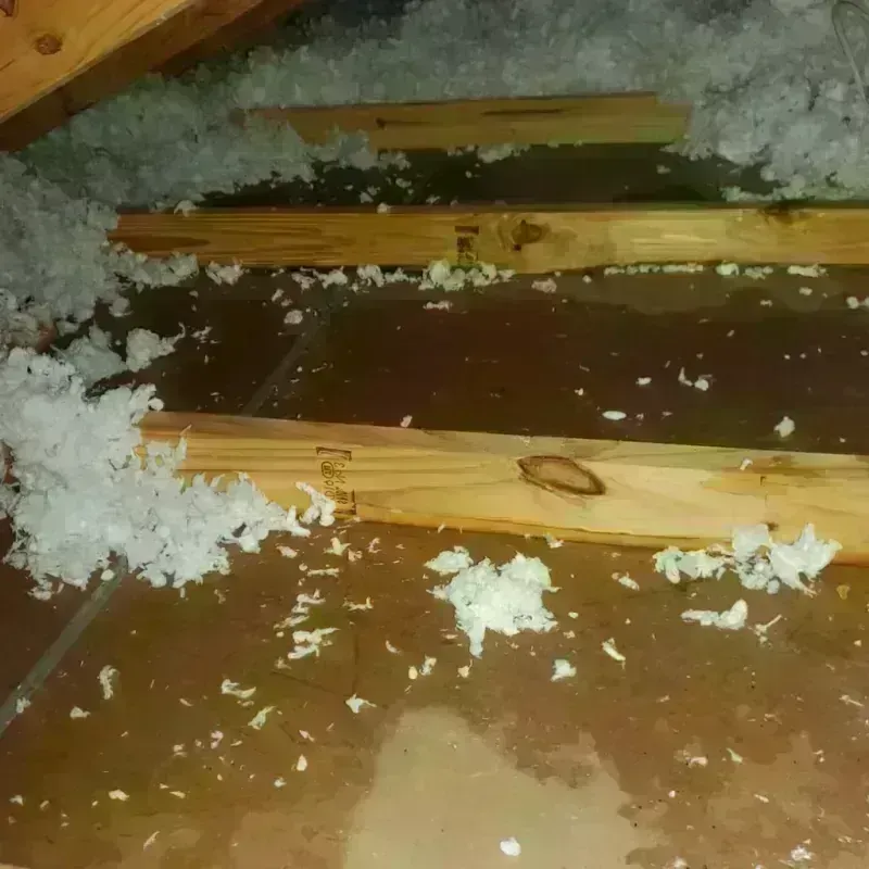 Attic Water Damage in Tipton County, TN